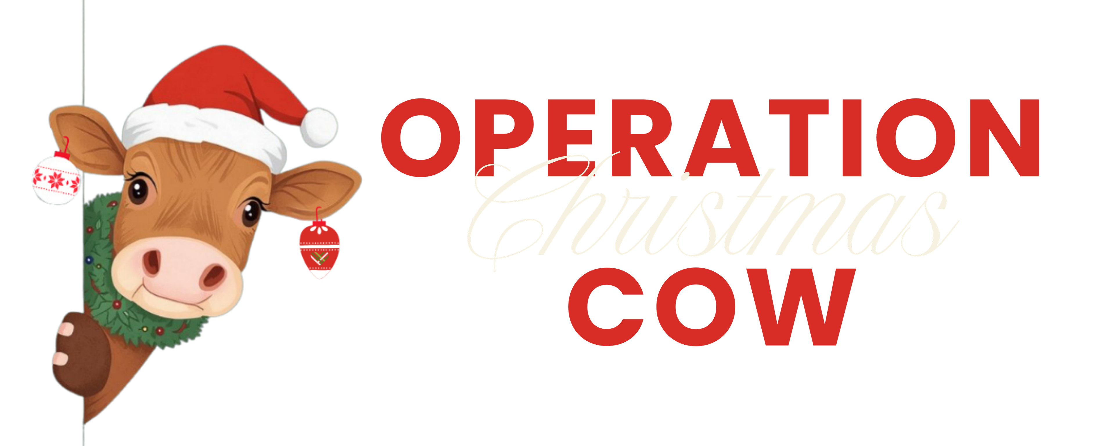 Operation Christmas Cow — Giving Tuesday campaign